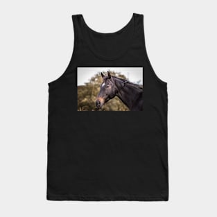 Horse relaxes on pasture Tank Top